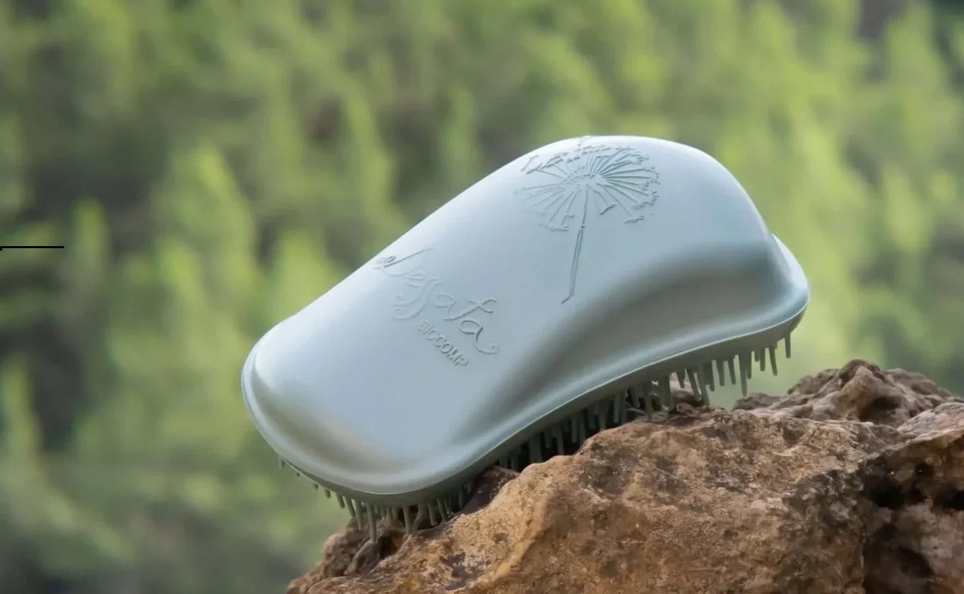 Dessata Biocomp Spazzola 100% Biodegradabile e Compostabile