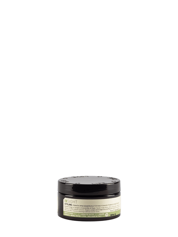 Insight Styling Pomata Opacizzante 90 ml